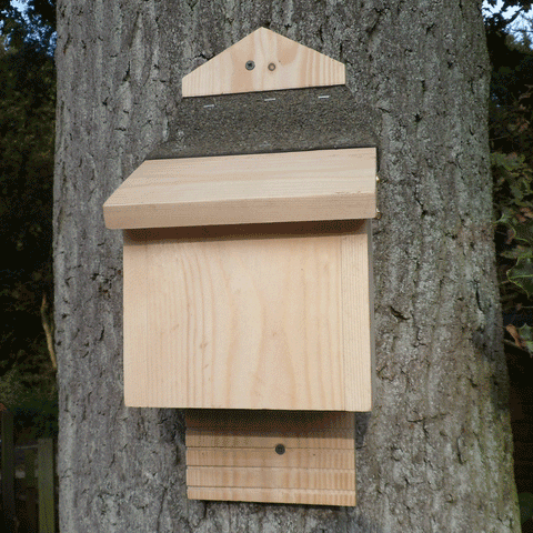 Traditional Bat Box