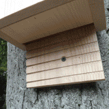 Traditional Bat Box