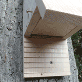 Set Of 2 Bat Boxes (1 x Wedge & 1 x Traditionl Design)