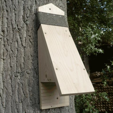 Set Of 2 Bat Boxes (1 x Wedge & 1 x Traditionl Design)